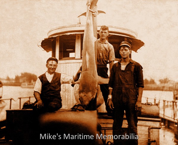 EFFORT Shark Catch, Brooklyn, NY – 1917 Shown from left to right are Captain Archie Buckner, an unknown angler, and a young Captain Fred Wrege at Sheepshead Bay, Brooklyn, NY circa 1917. Captains Buckner and Wrege were partners in the original "EFFORT" and at the time of this photo, the 23 year-old Fred Wrege had already become an established and respected 'Fishing Pilot'. Captain Buckner would later own and operate the "CAPT. JOE II" from Sheepshead Bay and Captain Wrege would go on to serve in the United States Navy during World War I as the Captain of the minesweeper "USS HOPESTILL". In March 1919, Captain Wrege returned to party boat fishing and resumed the helm of the "EFFORT" and he would continue to own and operate several other like-named vessels over the next 45 years. Photo courtesy of the Captain Fred Wrege and Captain Charles VanDerVoort families.