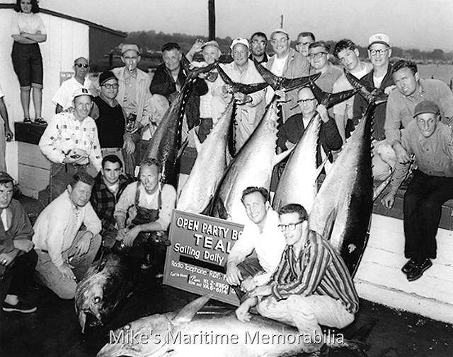 TEAL Tuna Catch – 1963 Shoal’s Dock in Great Kills, Staten Island, NY was hopping in 1963 at the end of a very successful day of 'Mud Hole' tuna fishing aboard Captain Freddie Moore's "TEAL". These big bluefin tuna weighed between 250 and 300 pounds! Not bad for a bunch of guys fishing on a party boat with single-speed Penn reels and 8-foot 'widow maker' rods. Ouch, pass me the Ben-Gay liniment! Photo courtesy of Ken Ekberg.