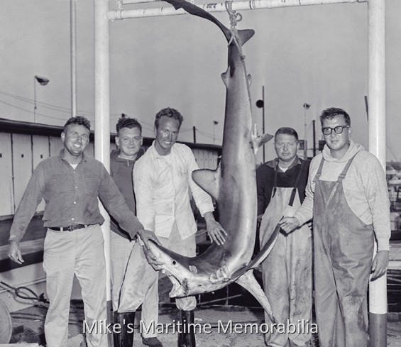 TEAL Shark, Great Kills, NY – 1963 Captain Freddie Moore (far left) and Mate Ken Ekberg (center) pose with a few regulars and this nice Shark that was hoisted back at Shoals Dock. Photo courtesy of Ken Ekberg.