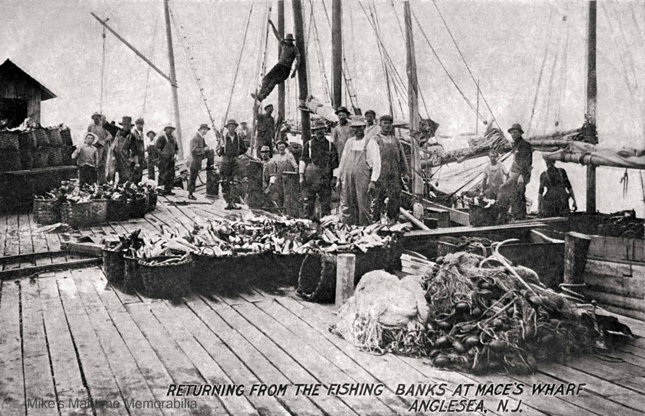 MACE'S WHARF, Anglesea, NJ – 1904 "Returning from the Fishing Banks at Mace's Wharf". This vintage 1904 photo depicts a group of commercial fishermen and a large catch of what appears to be baskets of bluefish. In the background, a group of sailing sloops are visible. In 1917, Anglesea became part of the City of North Wildwood, NJ.