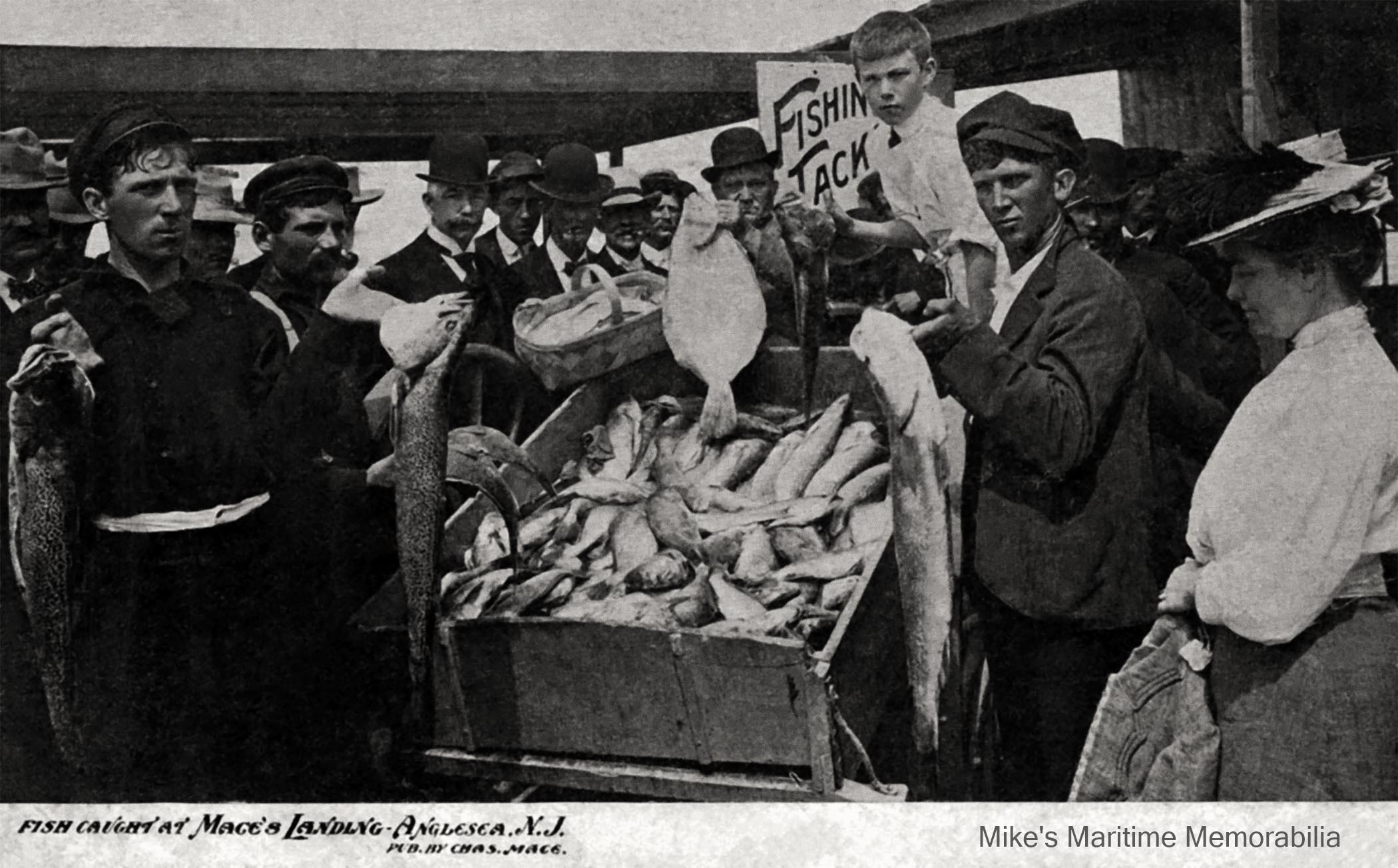 MACE'S LANDING, Anglesea, NJ – 1905 A glimpse of the great catches to be had at Anglesea, NJ during this era. This 1905 postcard from Mace's Landing at Anglesea, NJ shows a huge catch of Fluke, Weakfish, Porgies and Black Sea Bass being sold from a wheeled cart. Bowler hats for the gents and Ostrich feather hats for the ladies were the norm.