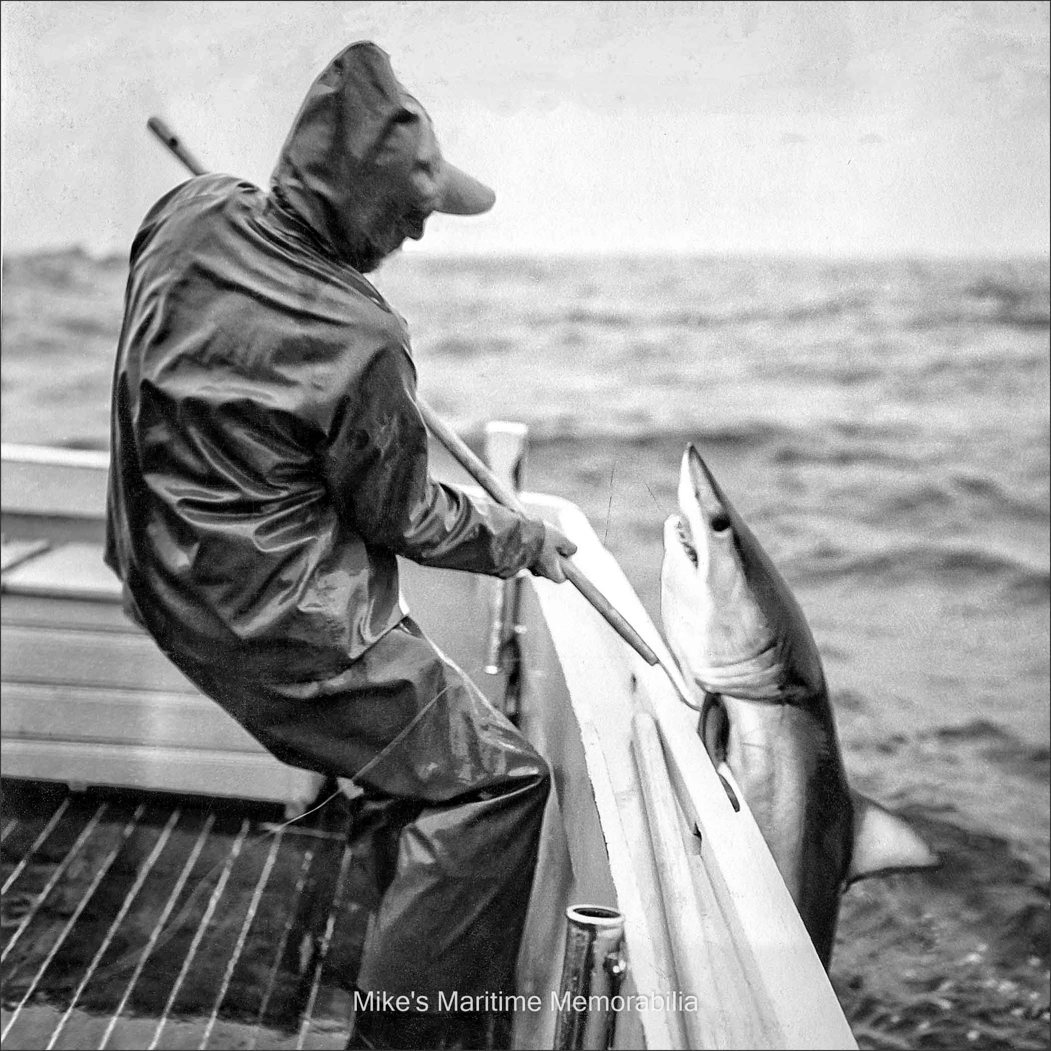 CRICKET II, Montauk, NY – 1953 A Mako shark coming over the side of Captain Frank Mundus' "CRICKET II" on a stormy day off Montauk Point circa 1953. According to the note on the back of the photo, this is a little one, weighing only 96 pounds. The "CRICKET II" was The boat was built in 1947 and launched in 1948 by Chesapeake bayman Tiffany Cockrell at the Glebe Point Motor Boat Co. in Burgess Store, VA. Captain Mundus originally sailed the "CRICKET II" from Brielle, NJ before relocating to Montauk, NY in July of 1951. Photograph by the late Cecil Clovelly.
