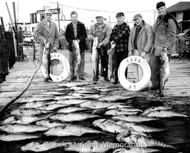 YANK Cod and Pollack Catch – 1958 Cod and Pollack line the dock in March 1958 after a 'crew trip' aboard the "YANK" to the wreck of the "LILLIAN". In the lineup are, from left to right, Captain John 'Candy' Keefe, "YANK" Captain Harry Tonks, "YANK" Mate 'Whitey' Savage, "YANK" Captain Russ Tonks, long-time "TAMBO" and "TAMBO III" Mate Artie Stehle and "TAMBO III" Captain Ed Keefe Sr. The "YANK" sailed from Point Pleasant Beach, NJ. Photo courtesy of Ed Keefe Jr.