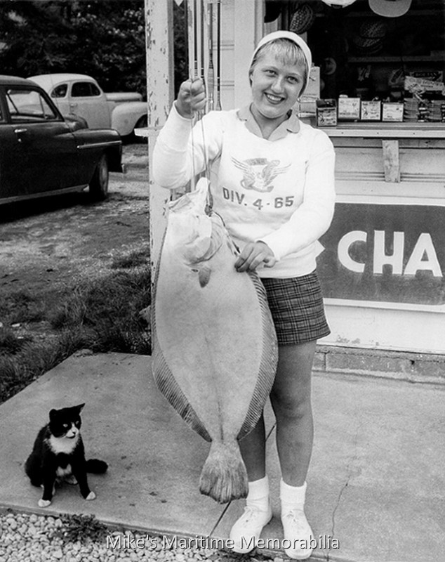 Fare, Fish and Feline – 1958 A young lady holding the doormat Fluke that she caught on July 9, 1958 aboard Captain Jack Bogan's "SHAMROCK" from Point Pleasant Beach, NJ. You just know the evil dock cat is hungrily waiting for opportunity to knock... and for the string holding the fish to break! Photo courtesy of Captain John Bogan Sr.