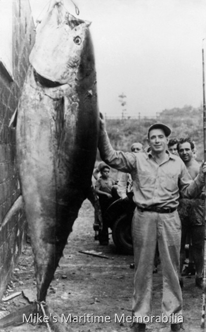 Sheepshead Bay Bluefin Tuna Catch – 1957 We don't know the name of this Sheepshead Bay, NY angler, but the back of this 1957 photo says the Bluefin tuna he caught aboard a charter boat weighed a whopping 647 pounds. My, how times have changed… and so has the fishing tackle. The 'widow-maker' fishing rod he used could also be used for Olympic pole vaulting.