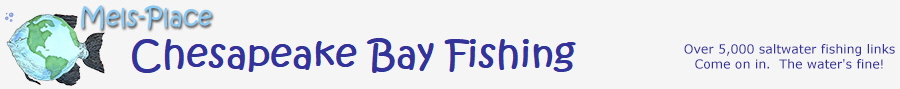 Chesapeake Bay Fishing