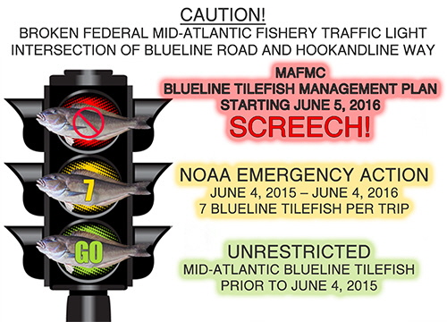CAUTION!  Broken Blueline Tilefish traffic light
